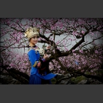 桃花美人2