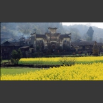 乡村小景
