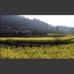 春到木山村