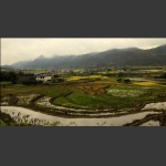 农村