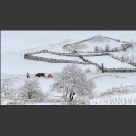 雪村正月7