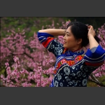 人面桃花相映红