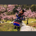 三月桃花