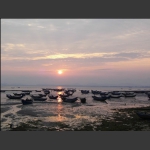 夕阳