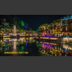 夜凤凰