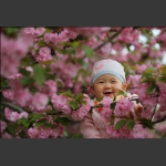 笑口常开---《婴花》