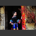 苗家妹7