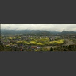 田园风光1