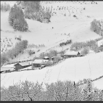 关东雪村---魅力松岭