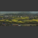 乡村景色-3