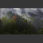 雨后