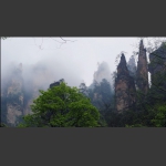 雾雨漫山间