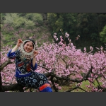 桃花醉人三