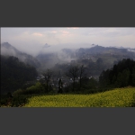 农村小景