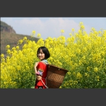 花季少女