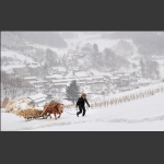关东雪村---魅力松岭