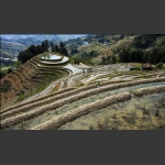梯田小景