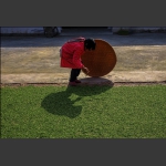晒  茶