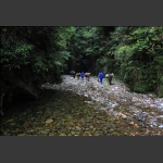 茶马古道