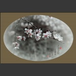 春暖花开