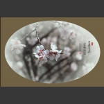 春暖花开