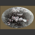 春暖花开
