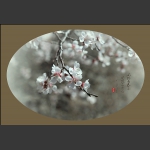 春暖花开