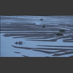 滩涂