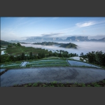 春到天门