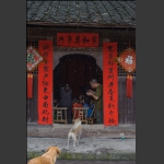 瞧这一家子