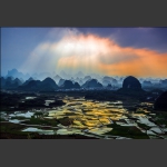 光照大地