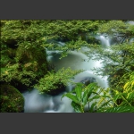 潺潺流水