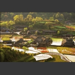 春到石堰坪