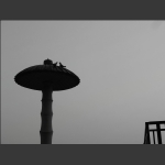 黑与白