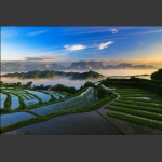 空中田园