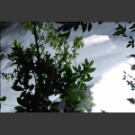 "雪"