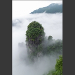 仙境