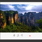 后花园