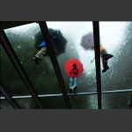 雨 中
