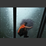 雨 中