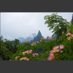 山花烂漫天门山