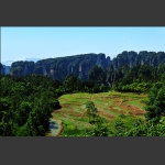 高山田园