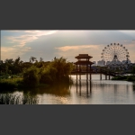 湿地夕照