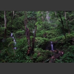 黄狮寨美景