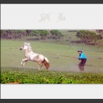 驯马