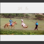 驯马