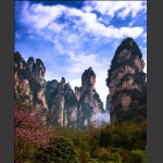 闺门迎宾