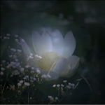 浪漫之夏-18