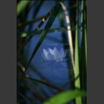 浪漫之夏-10