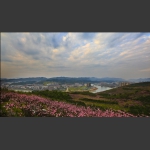 春到庸城